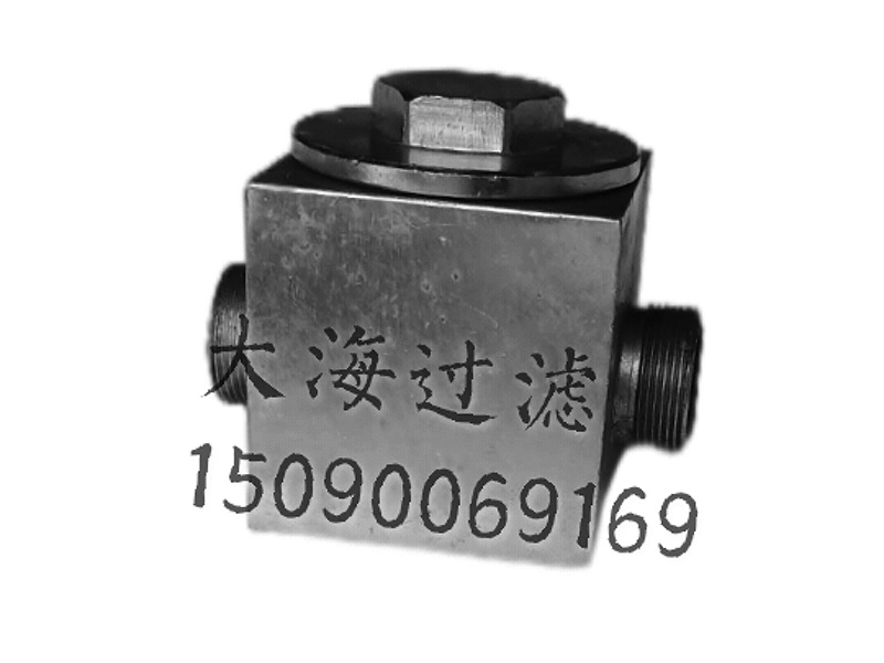 CGQ系列強(qiáng)磁管路過濾器